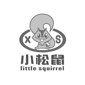 小松鼠  LITTLE SQUIRREL