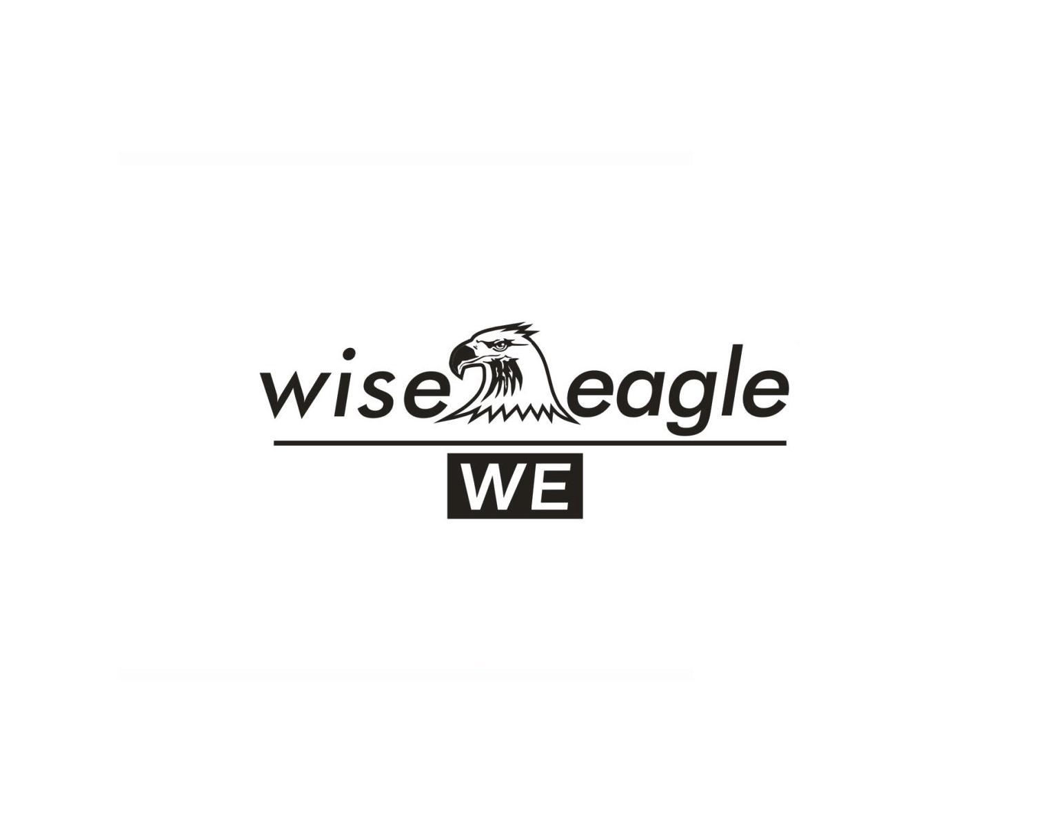 WISE EAGLE WE