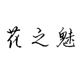 花之魅
