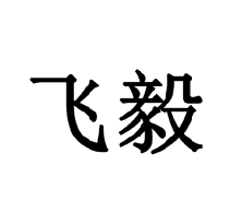 飞毅