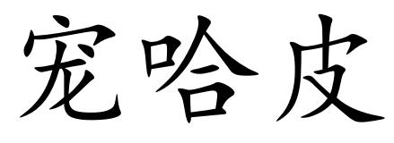 寵哈皮