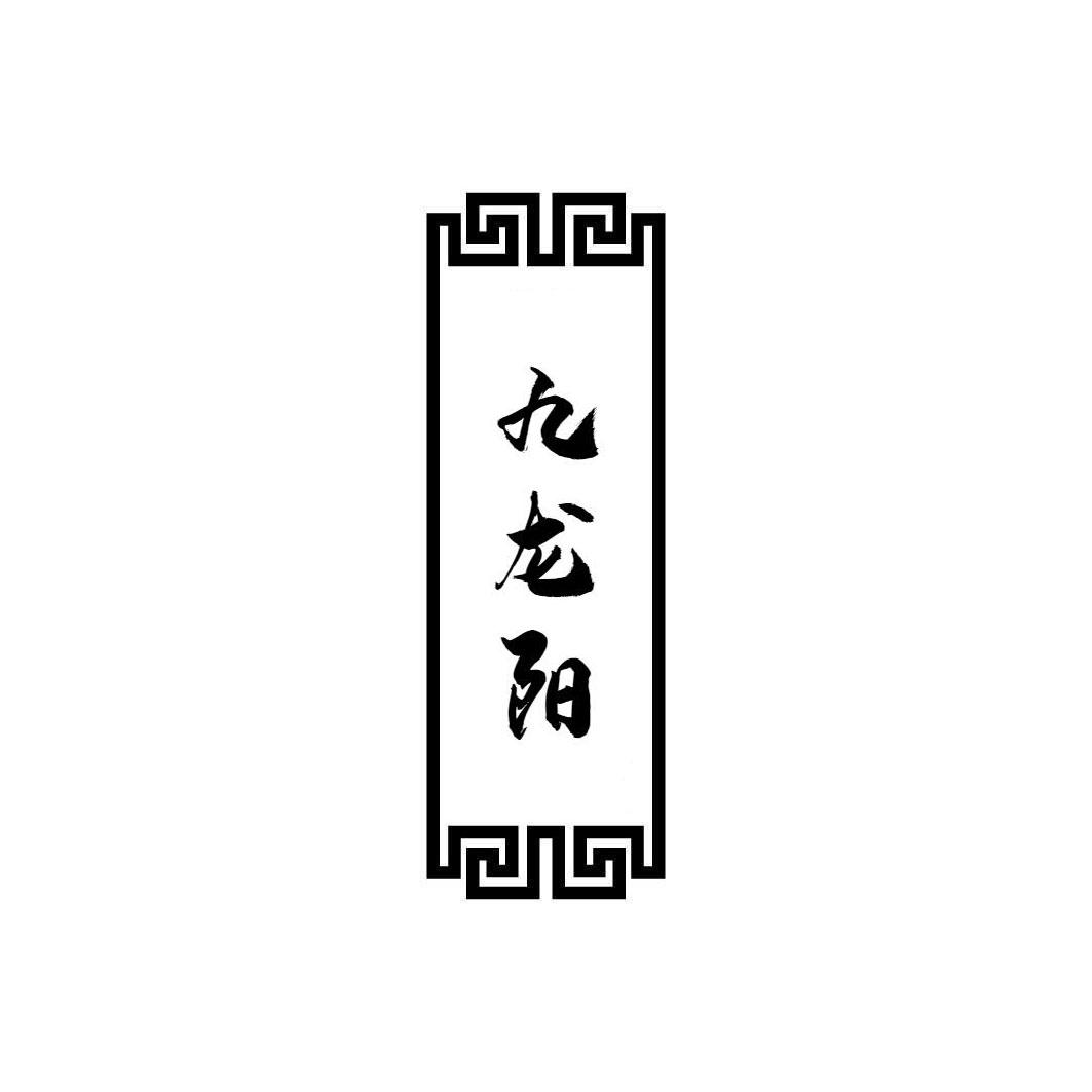 九龍陽(yáng)