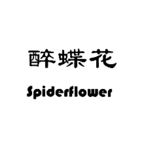 醉蝶花 SPIDERFLOWER