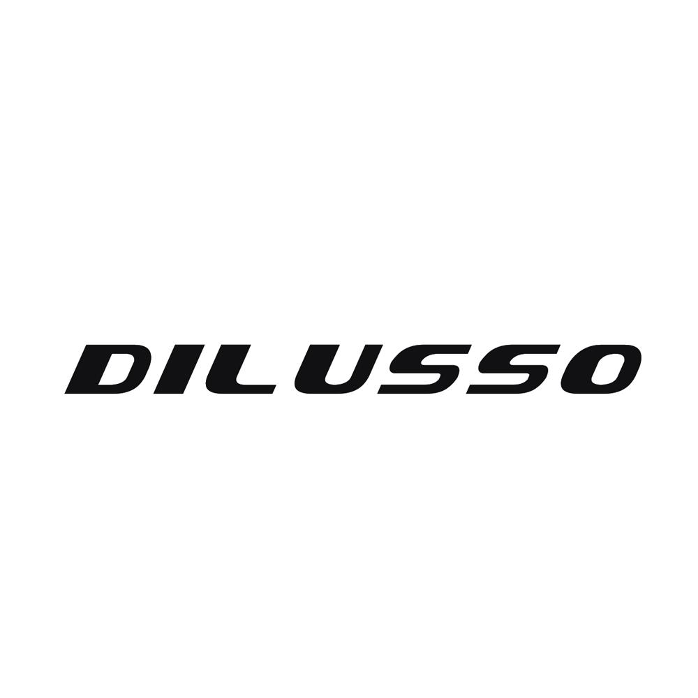 DILUSSO