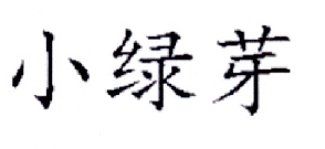 小綠芽