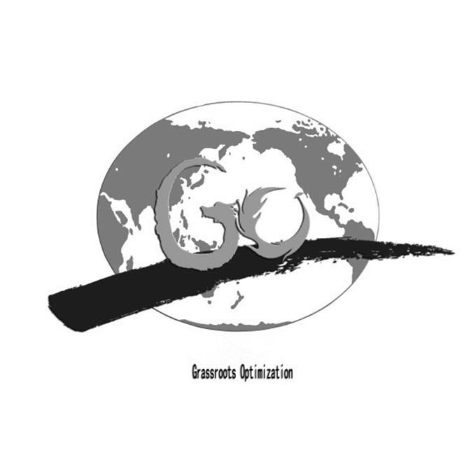 GRASSROOTS OPTIMIZATION