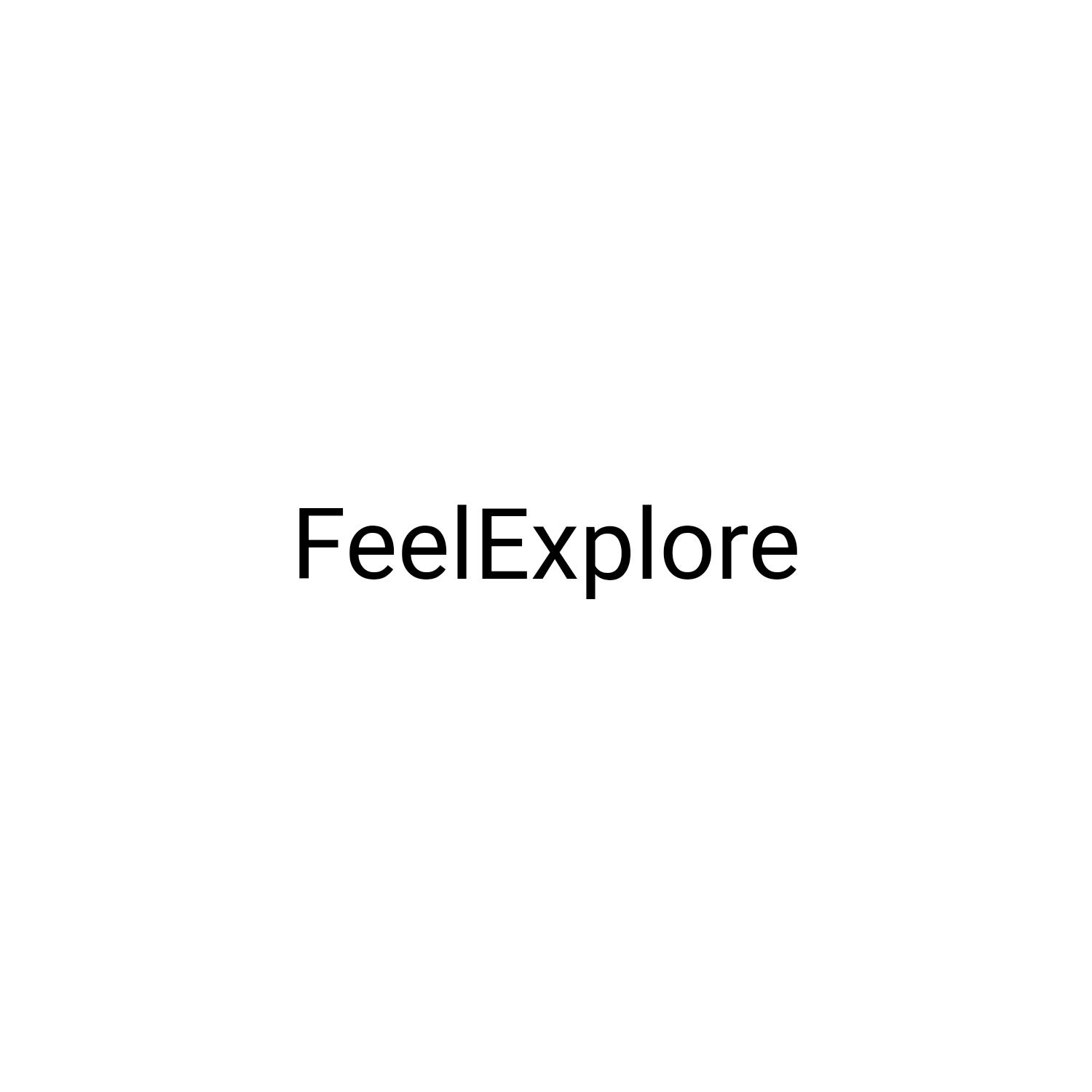 FEELEXPLORE