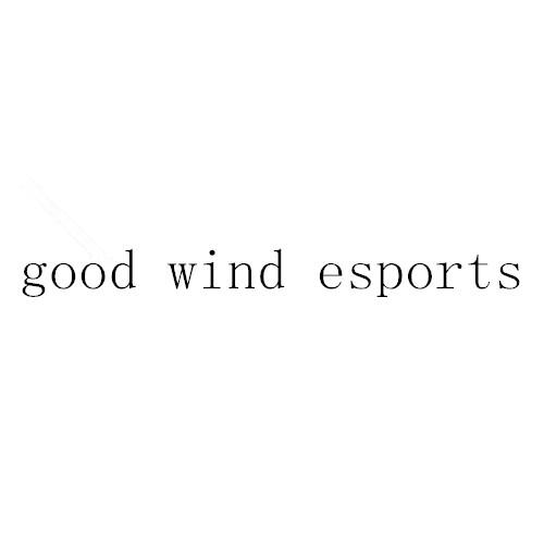 GOOD WIND ESPORTS