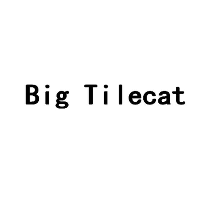 BIG TILECAT