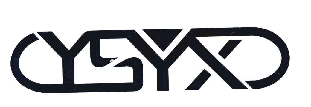 YSYX