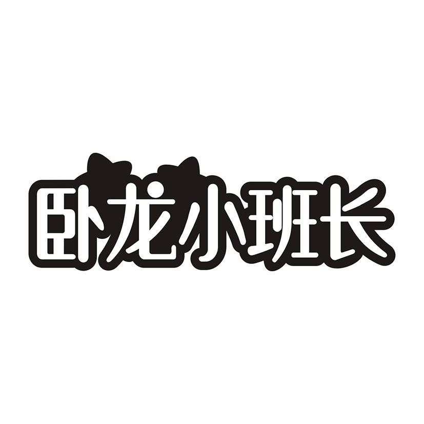 卧龙小班长