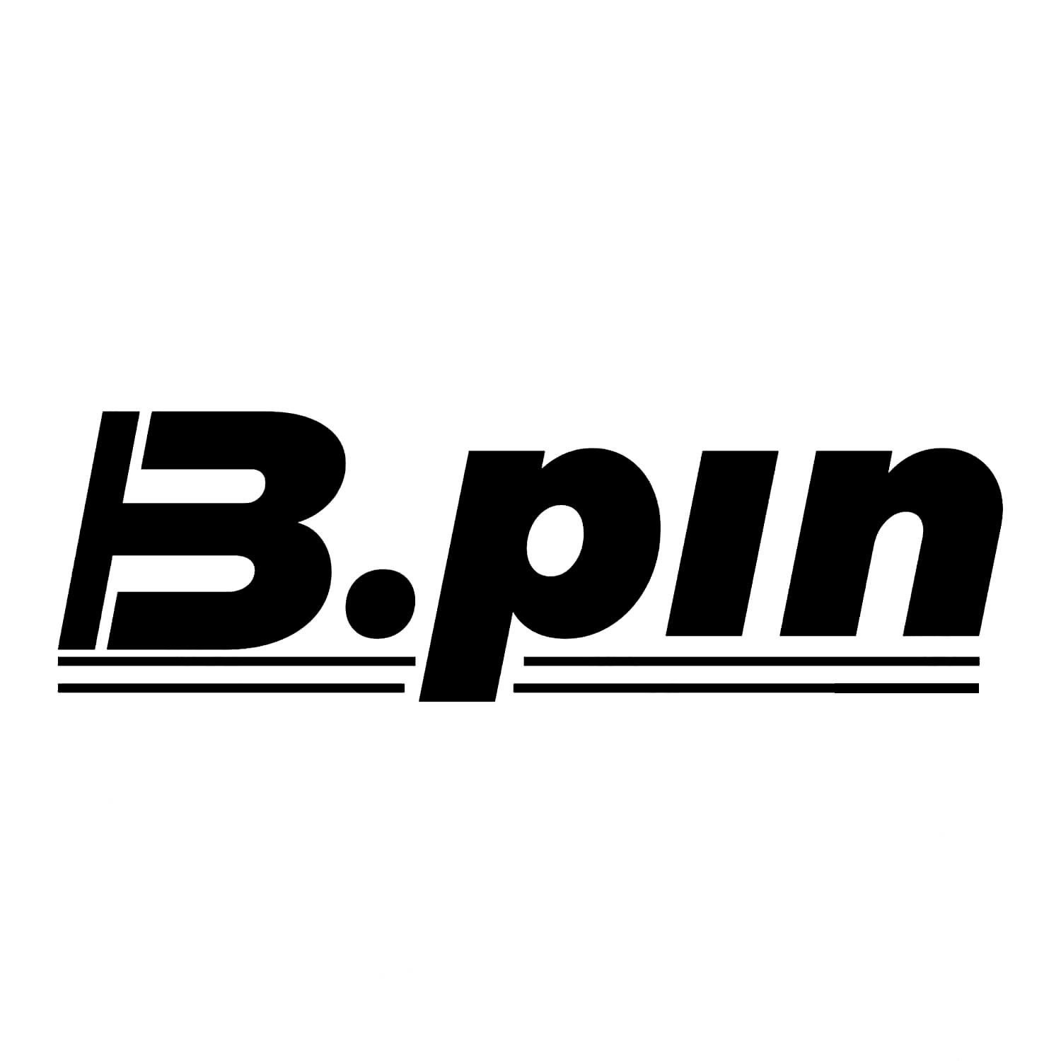 B.PIN
