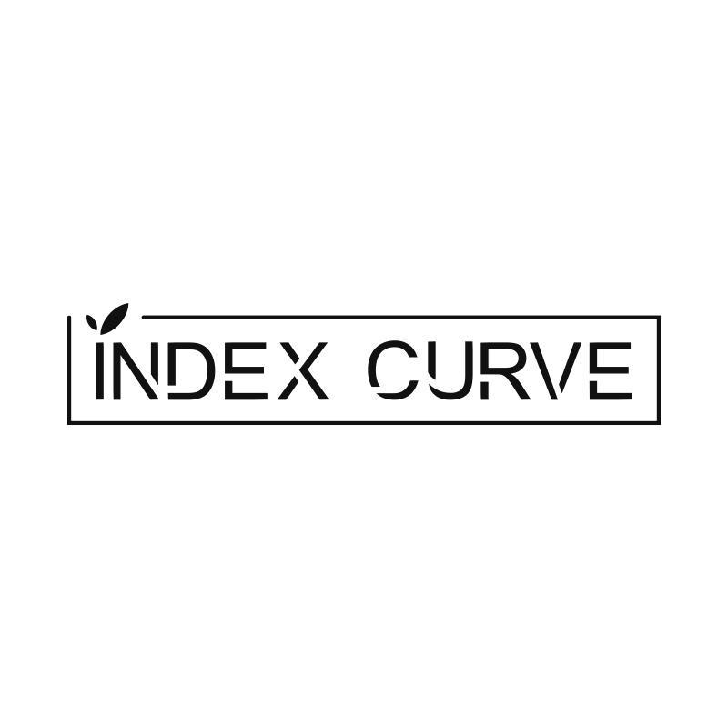 INDEX CURVE