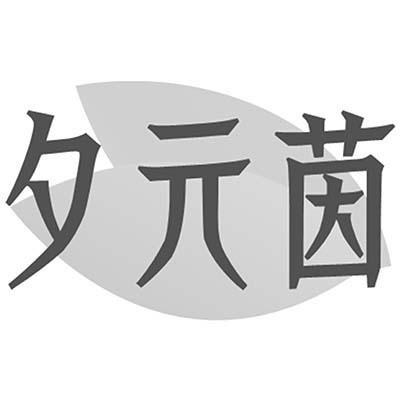 夕元茵