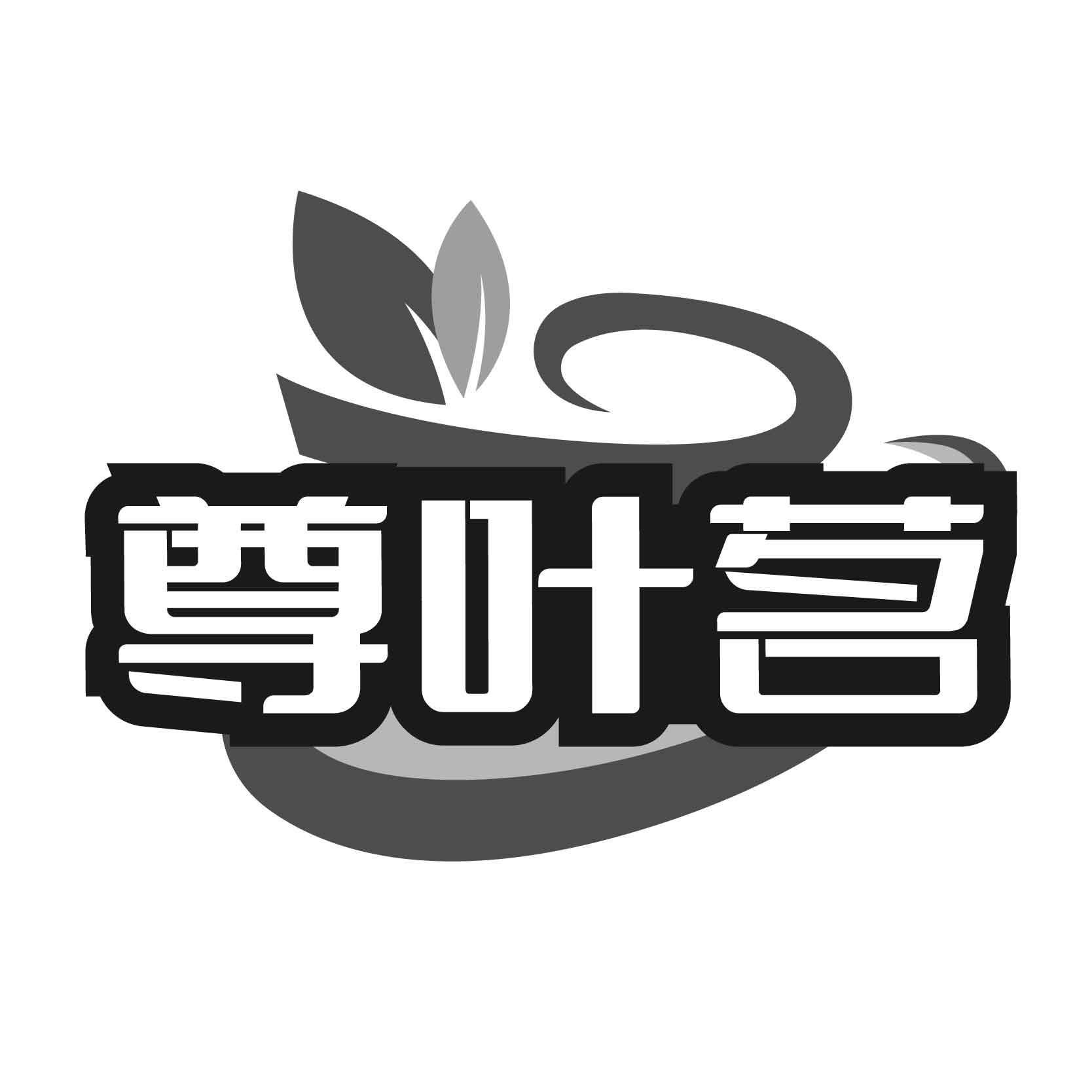 尊叶茗
