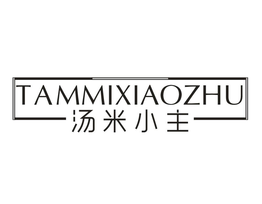 TAMMIXIAOZHU 汤米小主