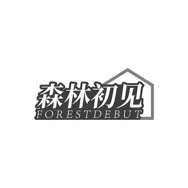 森林初见 FOREST DEBUT