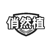 俏然植