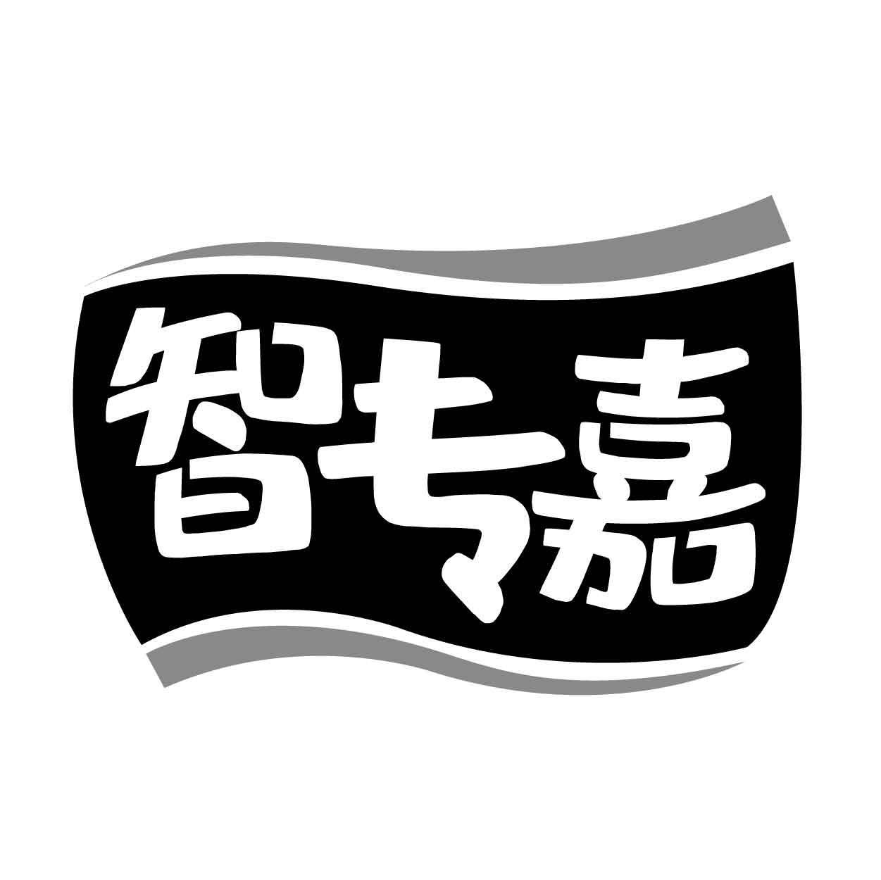 智专嘉