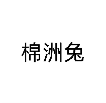 棉洲兔