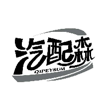 汽配森 QIPEYSUM
