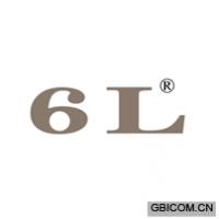 6 L