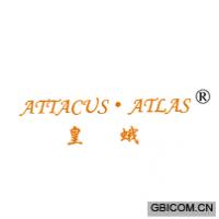 皇蛾;ATTACUS ATLAS