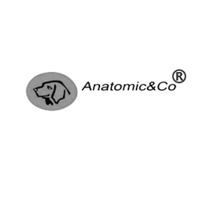 ANATOMICCO