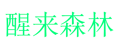 醒来森林