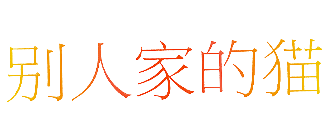 别人家的猫