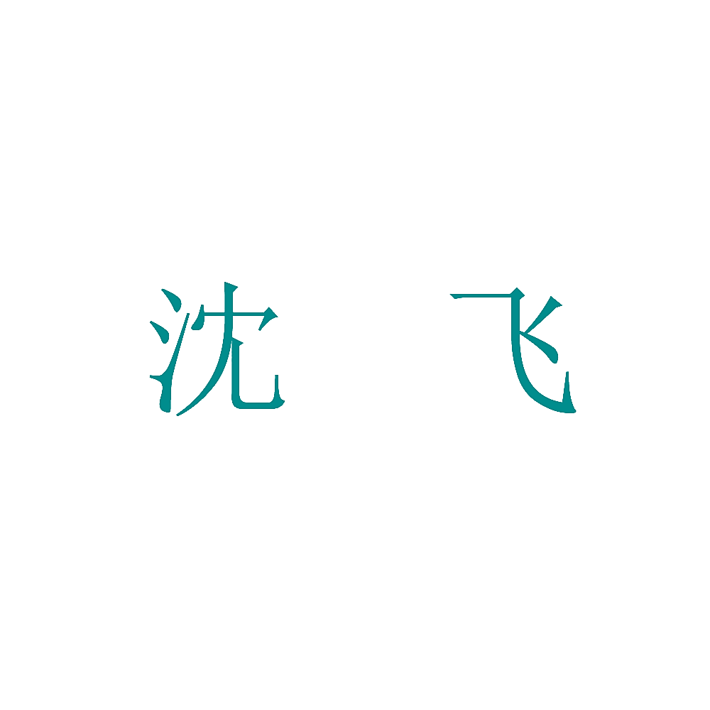 沈飞