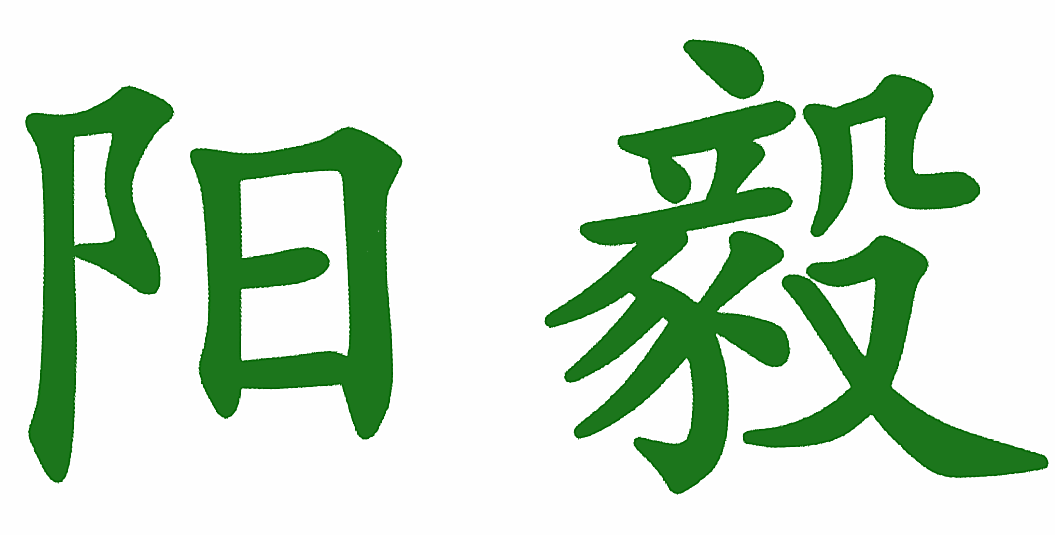 阳毅