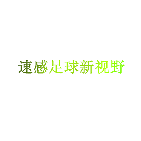 速感足球新视野