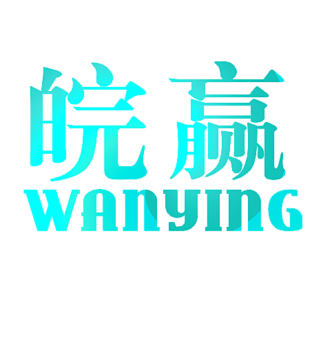 皖赢