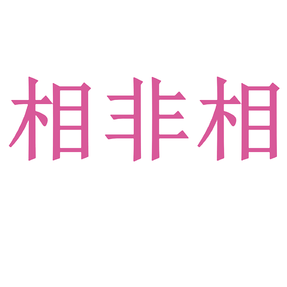 相非相