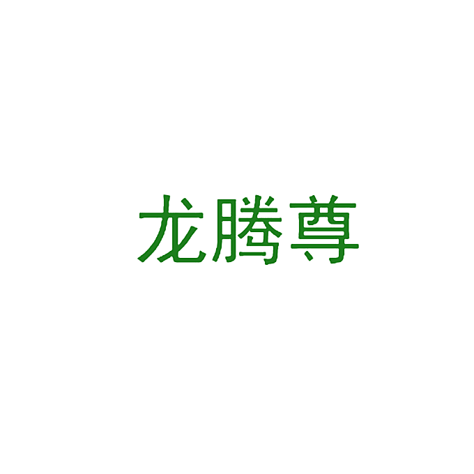 龙腾尊