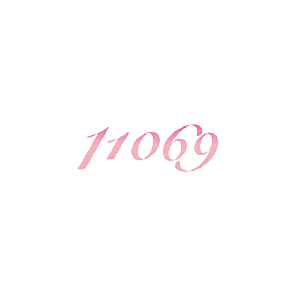 11069