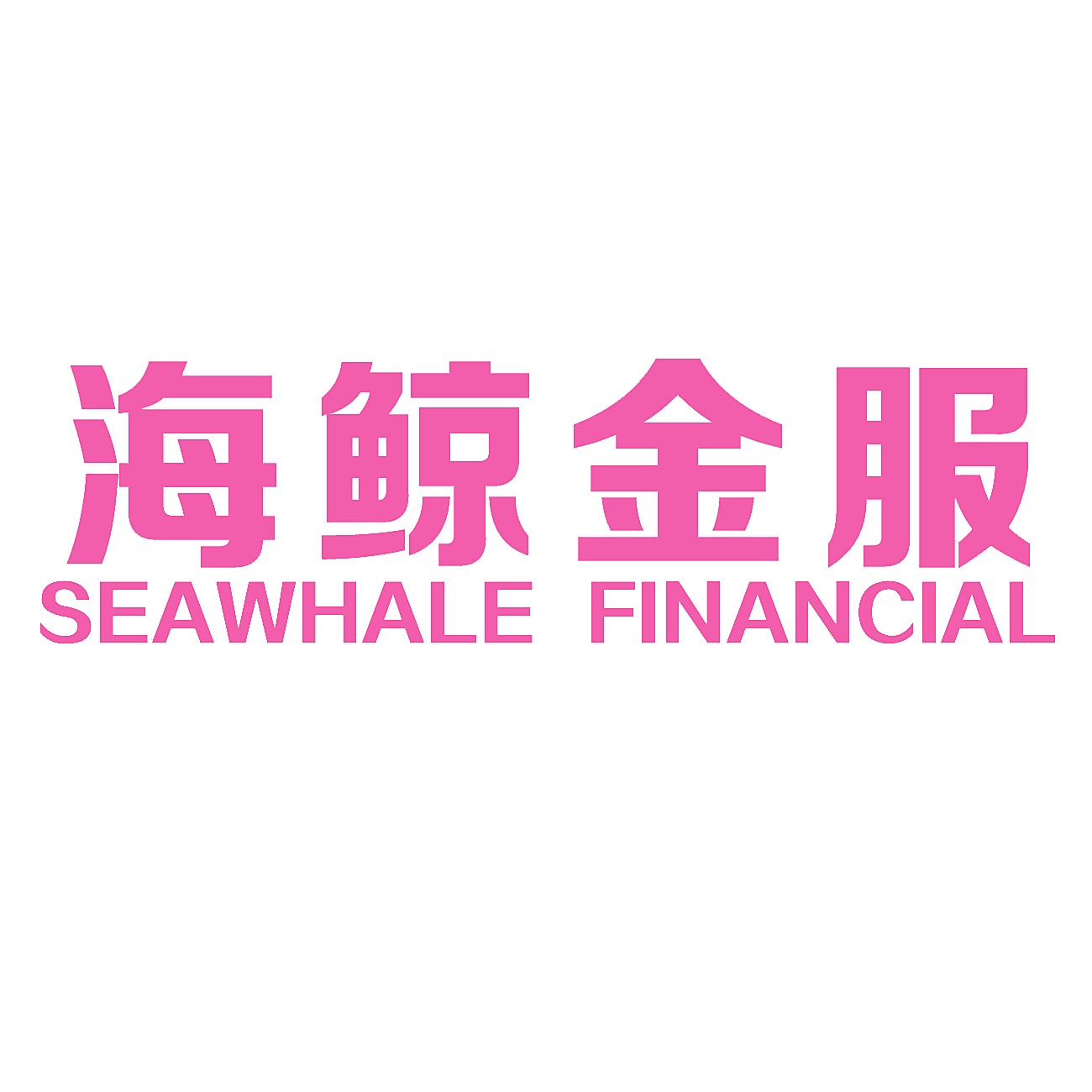 海鲸金服 SEAWHALE FINANCIAL