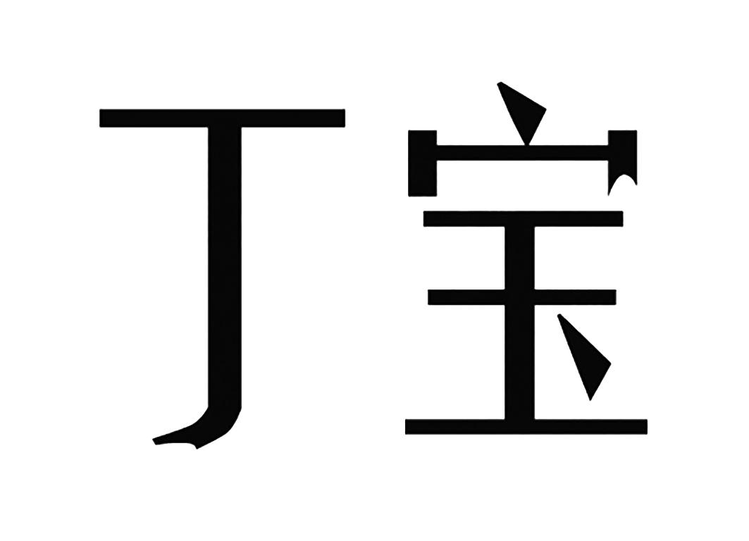 丁宝