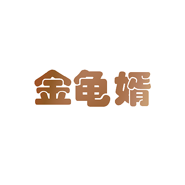 金龟婿