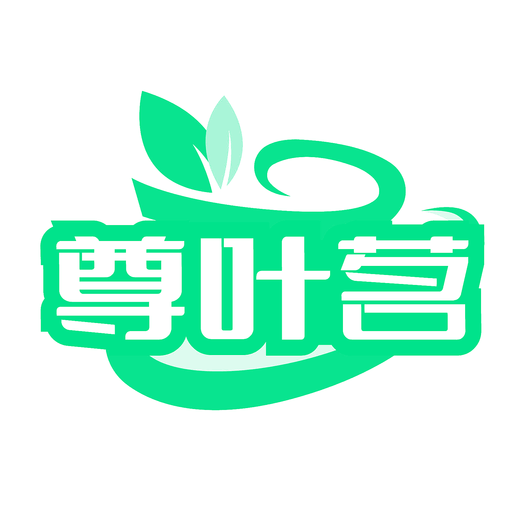 尊叶茗