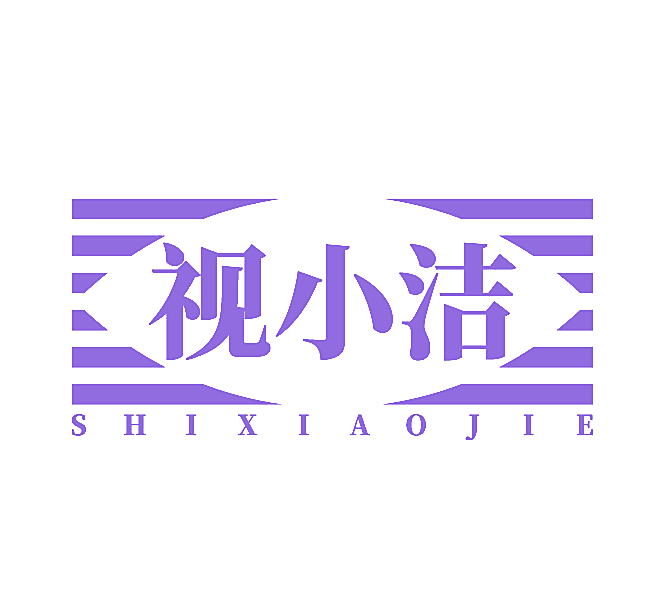 视小洁