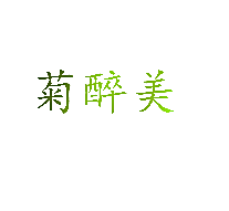 菊醉美