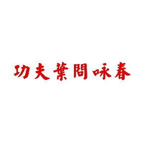 功夫叶问咏春