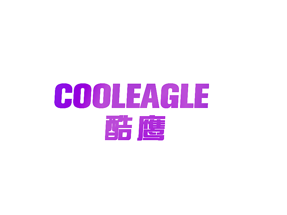 COOLEAGLE 酷鹰