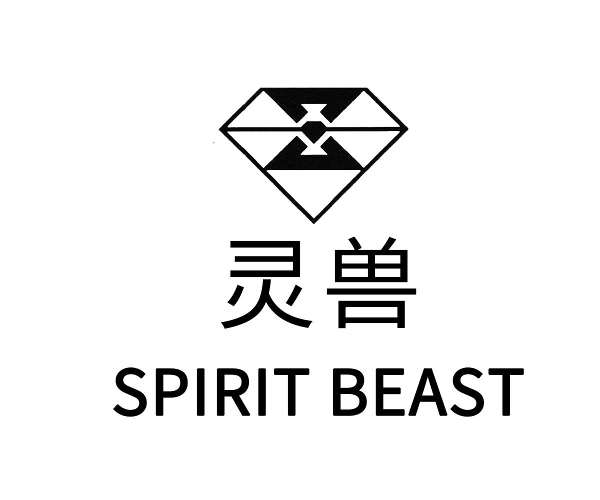 灵兽spirit beast