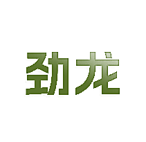 劲龙