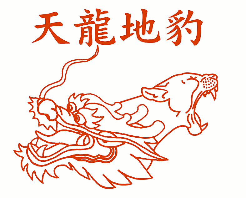 天龙地豹