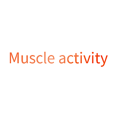 MUSCLE ACTIVITY