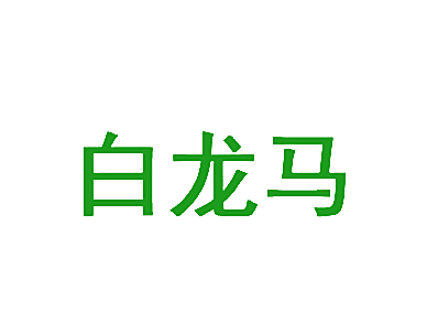 白龙马